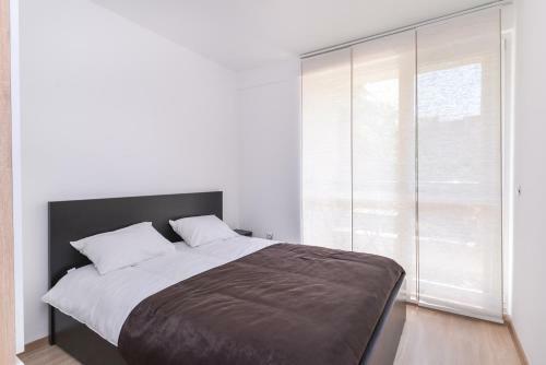 Cinecitta - One Bedroom Lion's Bridge Apartment