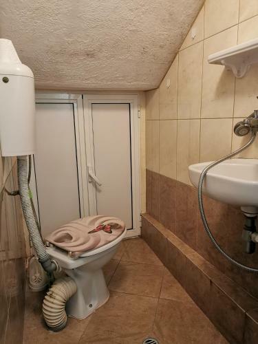 Apartamento Cute Studio