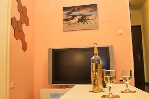 Colorful Apartment