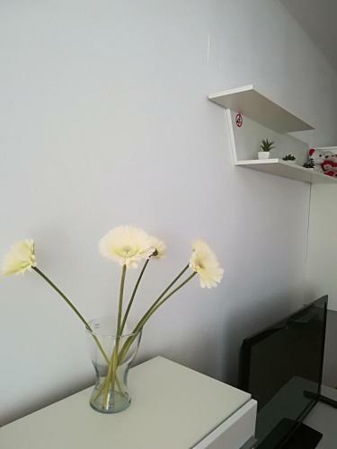Cocoa Apartment