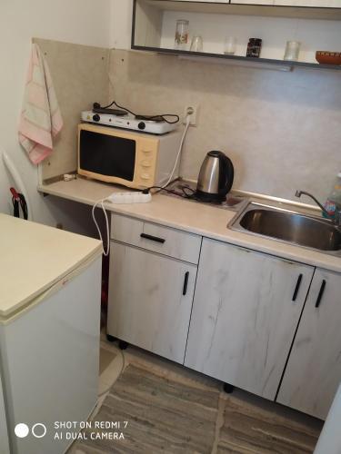 Apartment Petr Beron