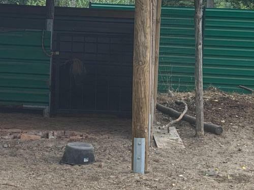 Apartamento Luxury Orchid Studio With Garden In Private Complex Cascadas Bulgaria