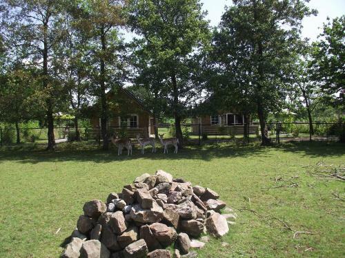 Vakantiehuisjes Landgoed Sonneborghe