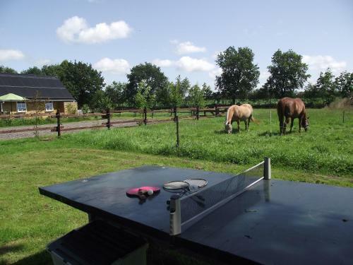 Vakantiehuisjes Landgoed Sonneborghe