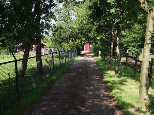Vakantiehuisjes Landgoed Sonneborghe