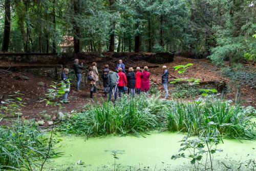 Amsterdamgarden - Nardinclant - Laren NH