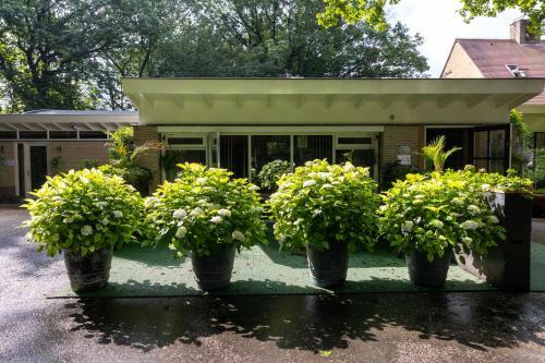 Amsterdamgarden - Nardinclant - Laren NH