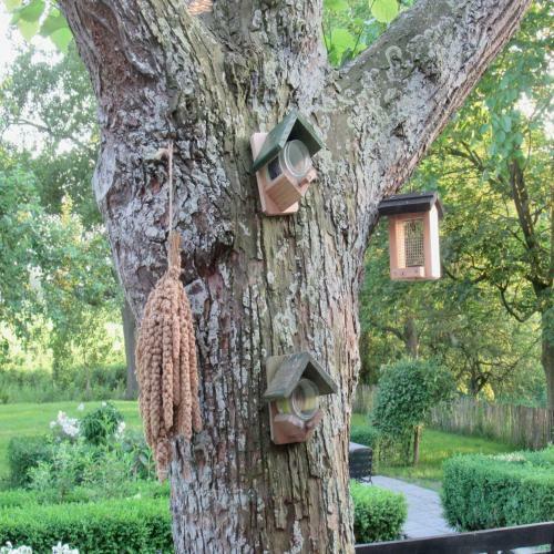 Bed & Breakfast B And Be Happy Friesland