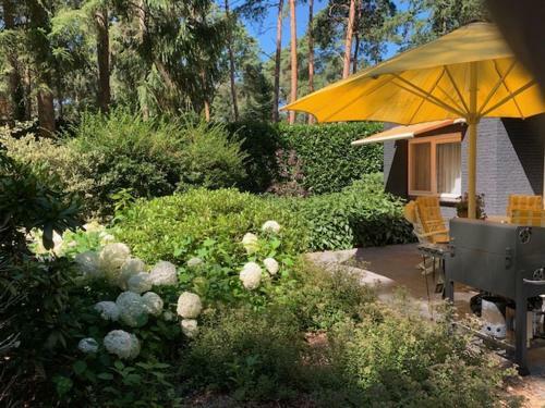 Bungalow Boszicht de Luxe Met Bubbelbad En Stoomcabine