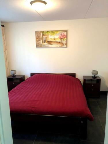Bungalow Boszicht de Luxe Met Bubbelbad En Stoomcabine