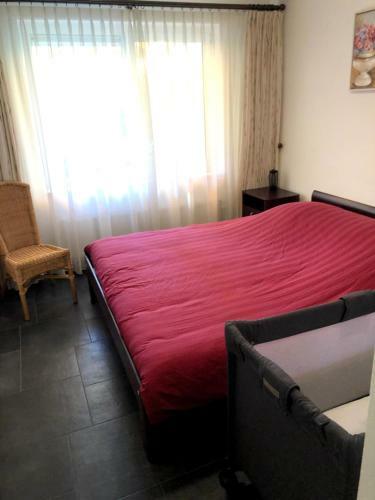 Bungalow Boszicht de Luxe Met Bubbelbad En Stoomcabine