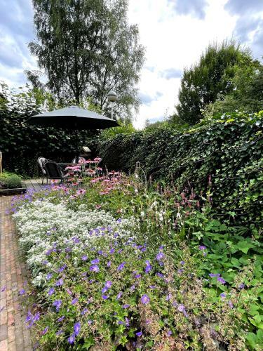 Luxe Vakantie Woning In Het Lunterse Bos