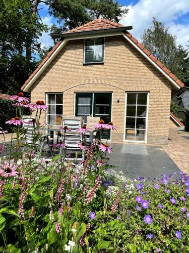 Luxe Vakantie Woning In Het Lunterse Bos