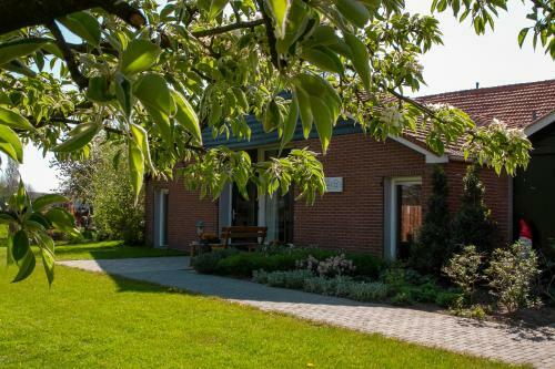 B&B Morskershoeve