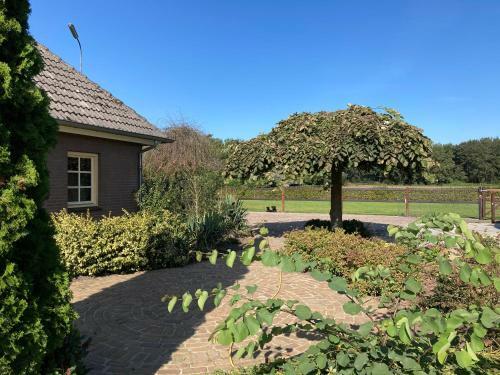 Apartamento Vakantiehuisje Opdekamp