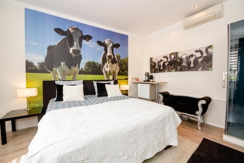 Bed & Breakfast B & B M 3