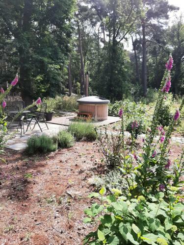 Vakantiehuis Met Hottub En Barrelsauna