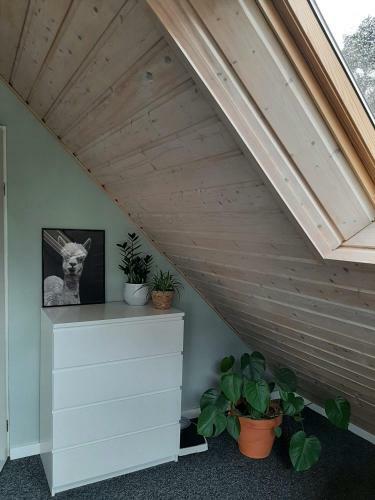 Vakantiehuis Met Hottub En Barrelsauna