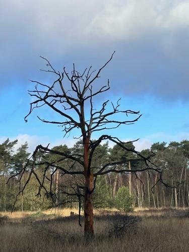 De Parel Van Valkenbosch