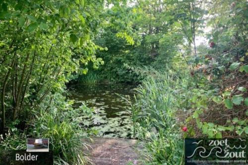 Wellness Bungalow Bolder 5p Amsterdam And The Beach