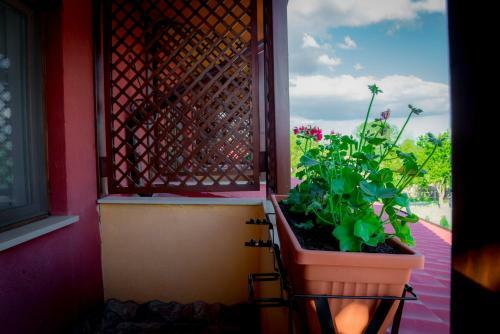Hostal Pensiunea Danubio