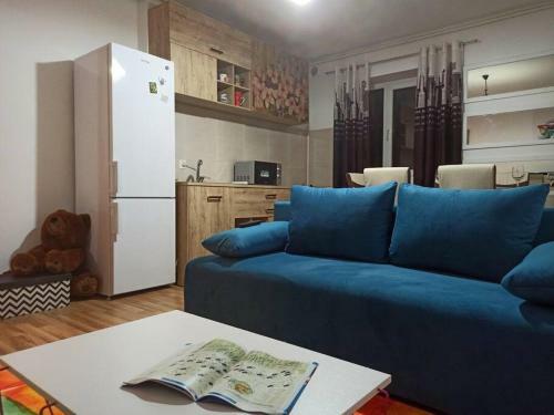 Apartament Chic In Fagaras