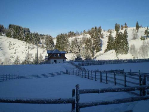 Lodge Cabana Mariuca Fundata