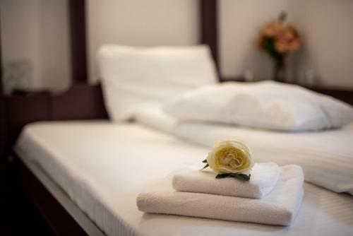 Hostal Escala Rooms
