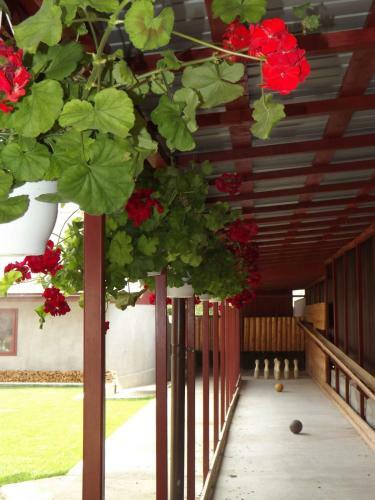 Hostal Casa Toader