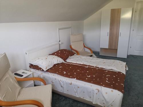 Hostal Stars Livezeni