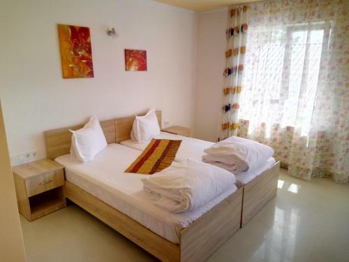Hostal Camere de Inchiriat Carpati