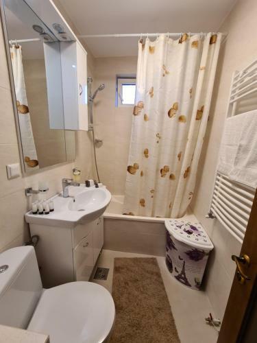 Apartament Bogdan