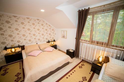 Hostal Pensiunea Surya