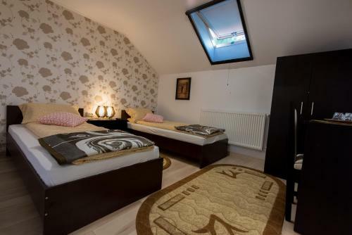 Hostal Pensiunea Surya