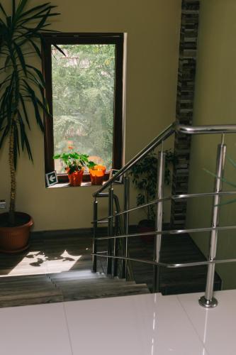 Hostal La Tusi Lovrin