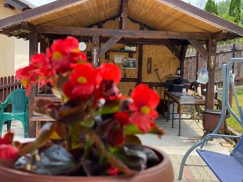 Bed & Breakfast Casa Greta