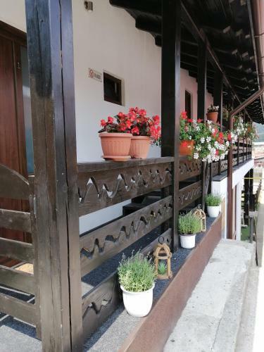 Bed & Breakfast Casa Greta