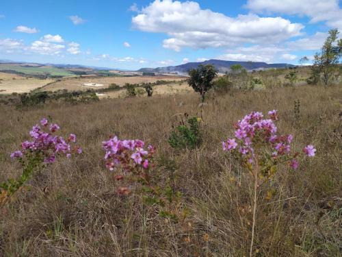 S�tio S�o Miguel - Carrancas - Mg - Chal� Girassol
