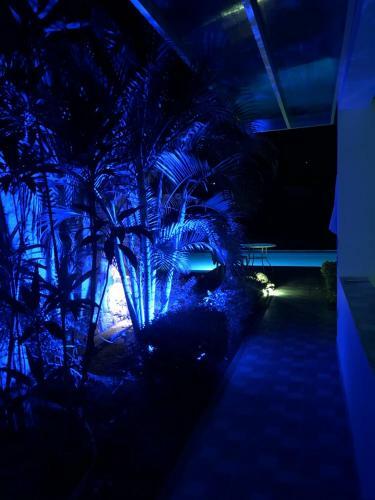 Villa Casa T�tem Descanso M�gico E Inolvidable En Apulo!