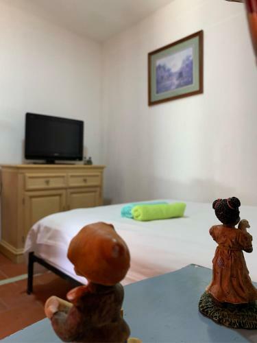 Hotel Natura Cocora