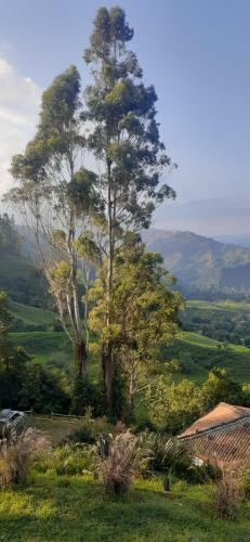 Hotel Natura Cocora