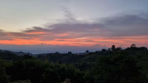 Finca Chalet La Tawa