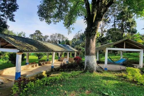 Finca Cheona