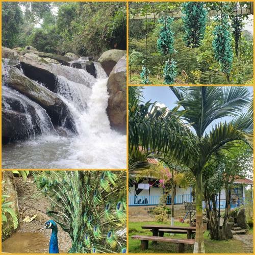 Lodge Finca Jard�n Del Agua