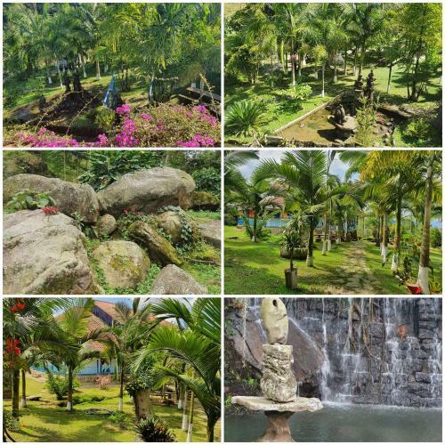 Lodge Finca Jard�n Del Agua