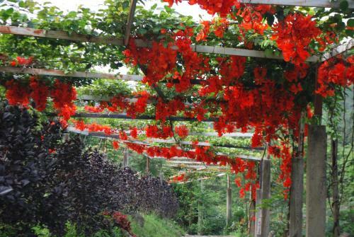 Lodge Finca Jard�n Del Agua