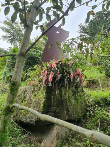 Lodge Finca Jard�n Del Agua