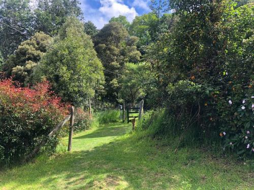 Glamping Con Sentido