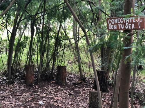 Glamping Con Sentido
