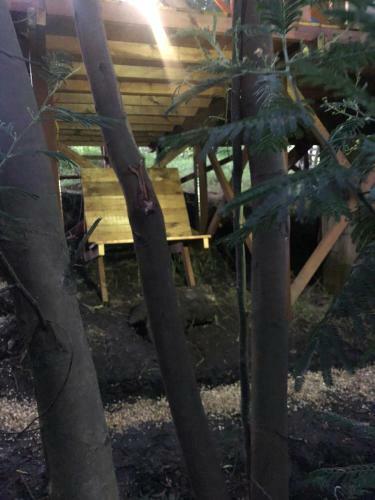 Glamping Con Sentido